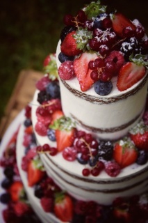 Semi Naked Cake