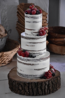 Semi Naked Cake