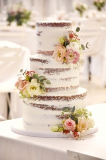 Semi Naked Cake